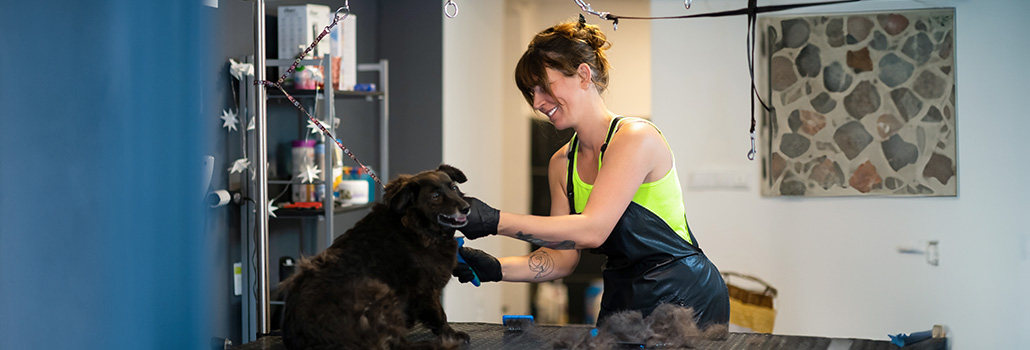 Viszlát, Airbnb: New York nem kér a rövid távú lakáskiadásból